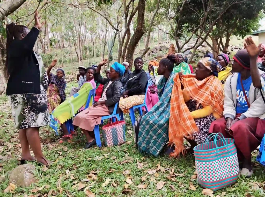 whatsapp image 2025 12 31 at 21.19.14